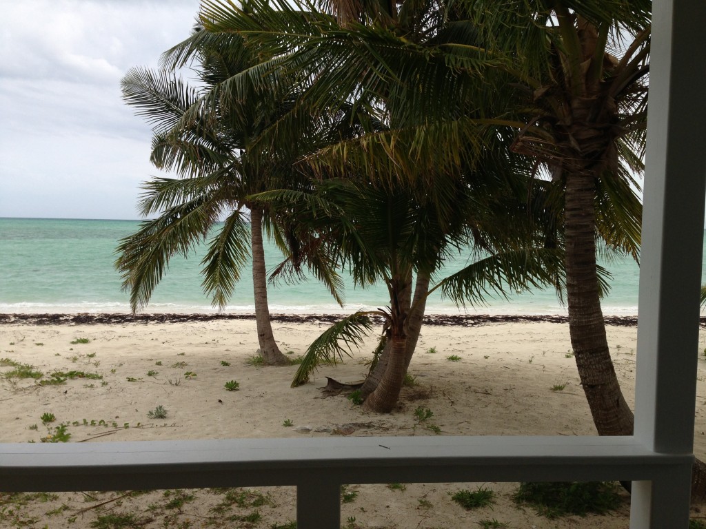 It's about time to hang a hammock from the coconut trees!