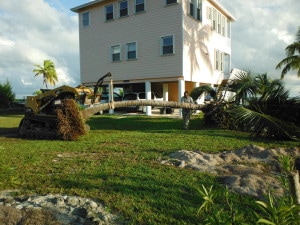 Our 25' Coconut Tree - ready to be moved to the beach in front of Kokomo