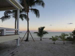 Kokomo's new Coconut Trees