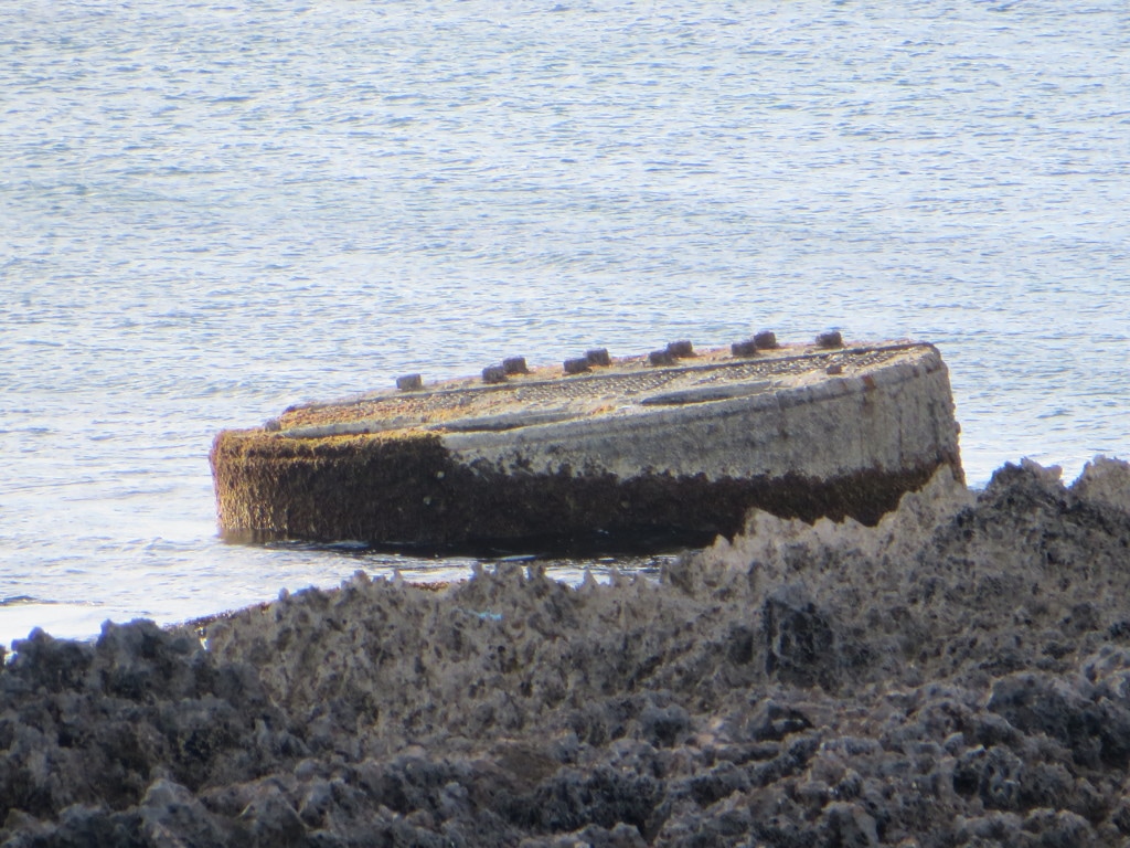 Near the Stern of the SS Hesleyside Wreck.